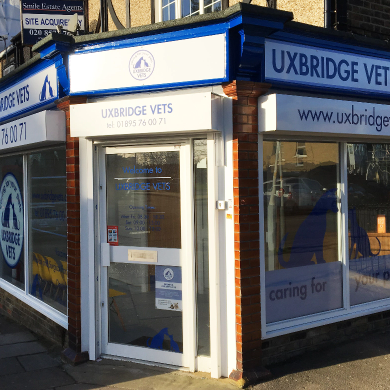 Uxbridge Vets Commerical Store Branding Vinyl