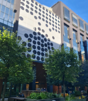 Exterior Vinyl Dots