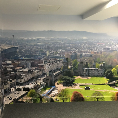 Office Interior Branding Wall Vinyl