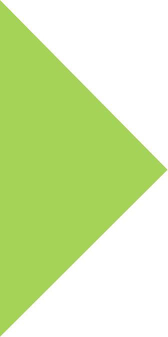 Green Triangle Icon