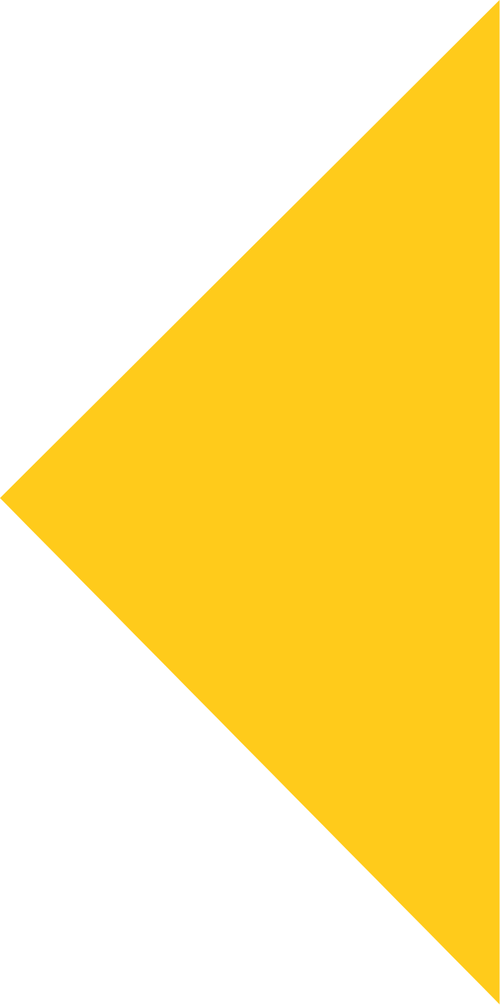 Yellow Triangle Icon