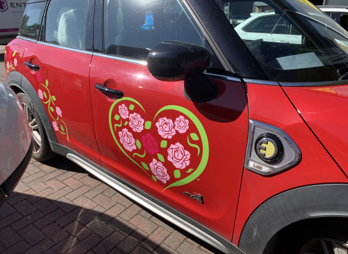 Roses Vinyl Graphics