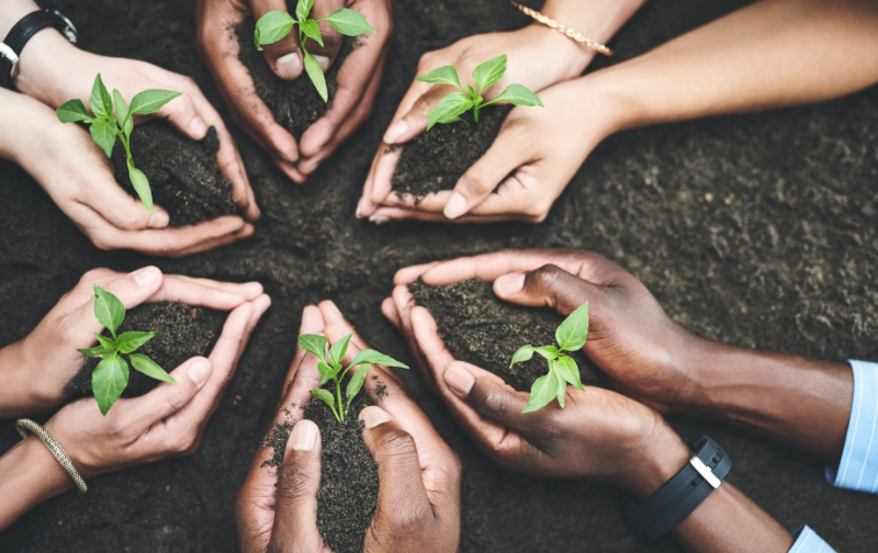 Environmental Sustainability Concept