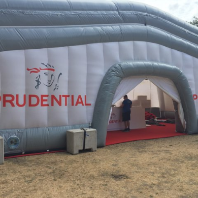 Dome Vinyl Branding