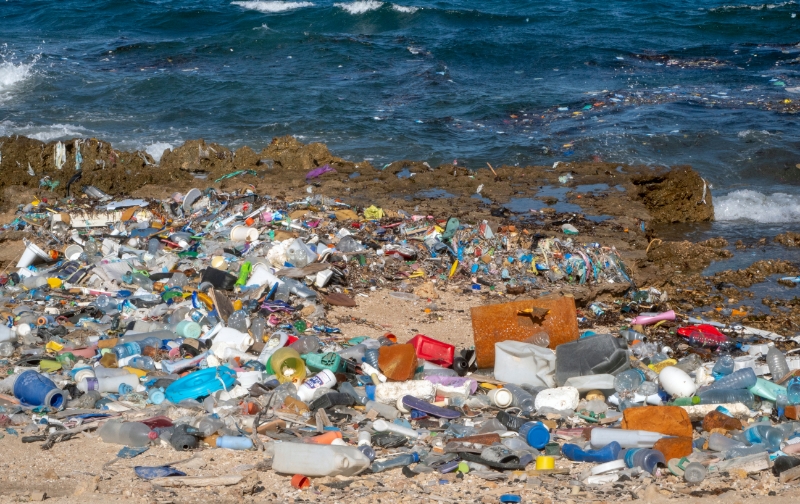 Beach waste
