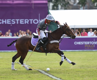 Chesterton Polo in the Park Advertising Boards